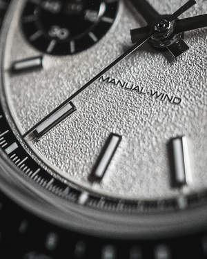 Bicompax - Circuit Panda